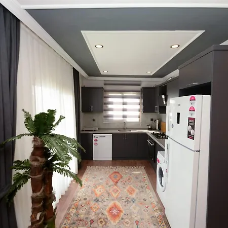 Lorenza Villa *